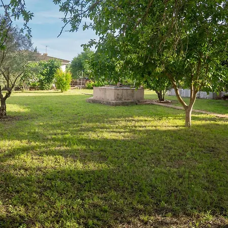 L'ametller, Casa Alt Emporda * Ordis