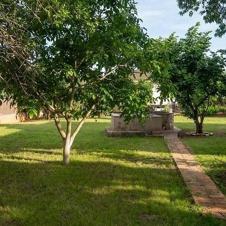 L'ametller, Casa Alt Emporda * Ordis